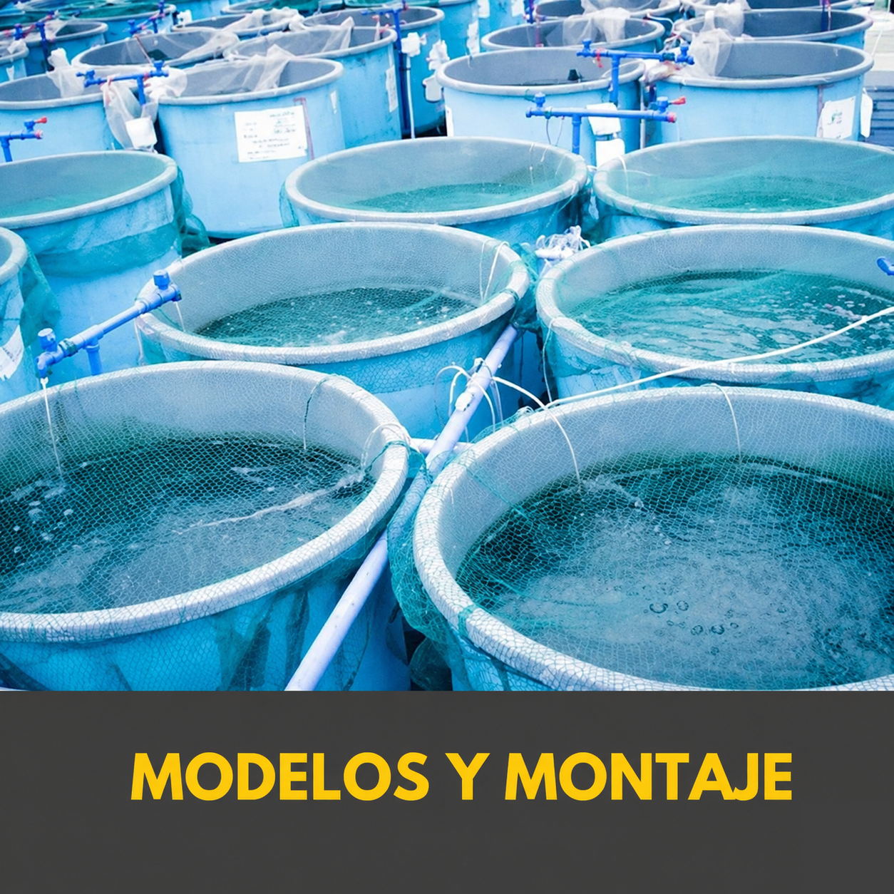 Módulo 7