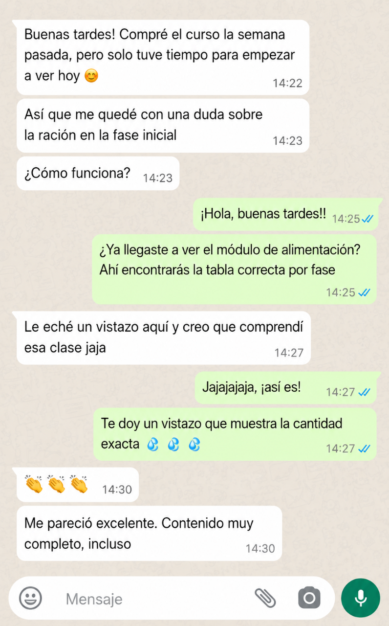 Testimonio 8